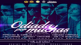 Odiada por muchas Remix !!