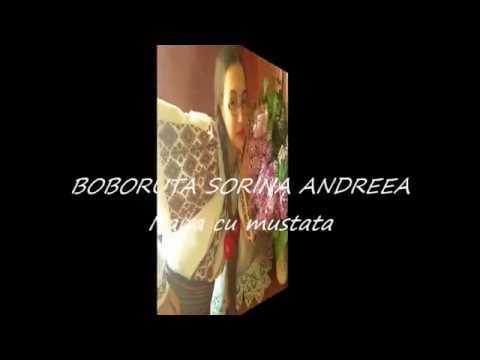 BOBORUTA SORINA ANDREEA-Nana cu mustata