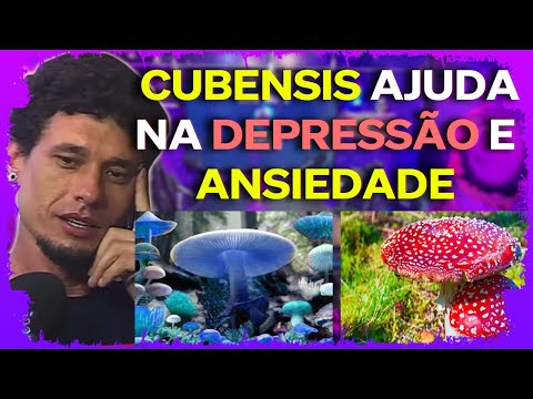QUAL OS BENEFÍCIOS TRÁS UTILIZAR OS COGUMELOS? - CORTES