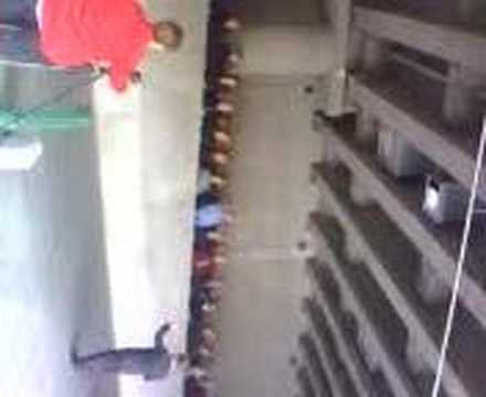 vote the bastards out