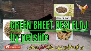 Treatment for pigeon's green, watery,beet and diarrhea by pets life