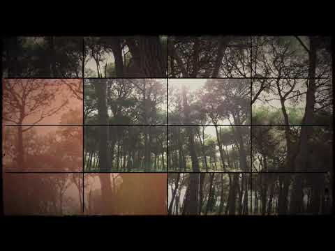 Einaudi Vs Einaudi - Santiago (Official Visualiser)