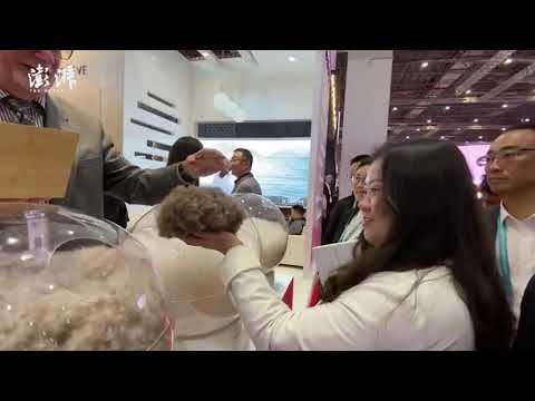 St Genève brings luxury eiderdown made of fluff collected from wild gooses to CIIE