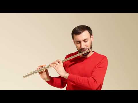 Pearl Quantz 505 series flute