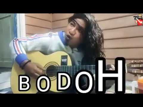 Lagu Bodoh...