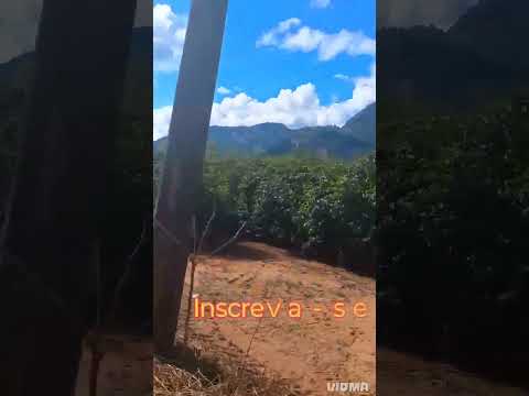 Andradas MG