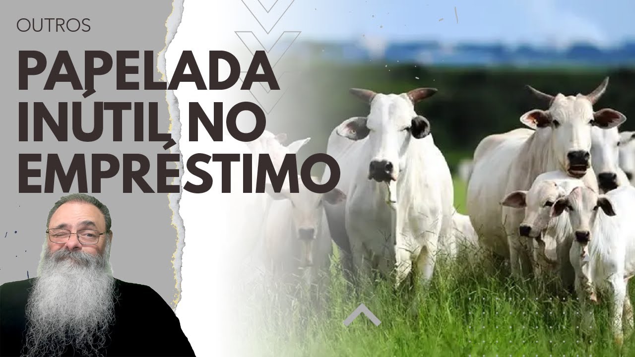 BANCOS decidem EXIGIR papelada ESG para EMPRESTAR DINHEIRO para FRIGORÍFICO encarecendo a SUA CARNE