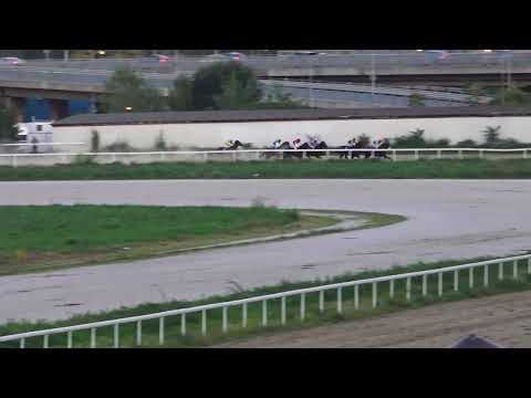 16.10.2022 - Trka VII "OPROŠTAJNI HANDIKAP" - Hipodrom Beograd