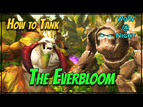 How to Tank The Everbloom in World of Warcraft