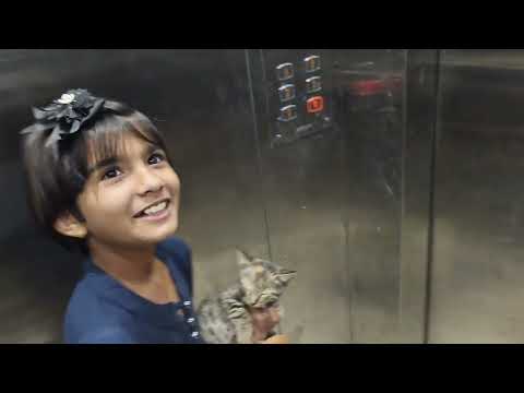 Aaj maine mere kittens ko chod deya 🥺😭