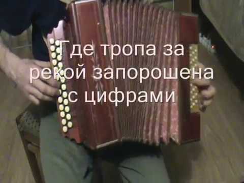 Слова песни снежком запорошена. На тропе на гармони в цифрах. Ноты на тропинке луной запорошенной. На тропинке снежком запорошенной Ноты. Тропа за рекой запорошена.