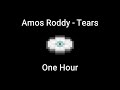 Tears By Amos Roddy One Hour Minecraft Music