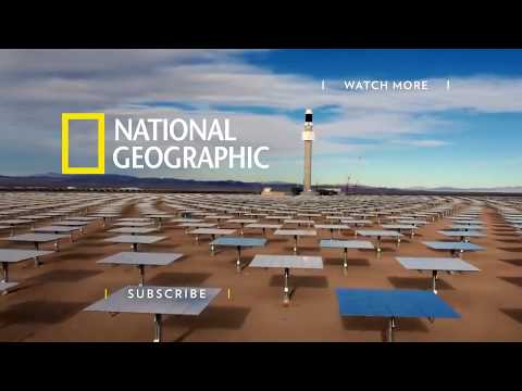 A Friendly Arctic Fox Greets Explorers   National Geographic   YouTube