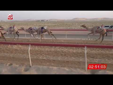  ش 5 (الظبيه) لـ سالم الدهيمي بن غافان الخييلي 6:39 ، مهرجان العين 2026/07/12 حول وزمول سويحان