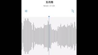 - #駄菓子cOver型 - 五月雨/崎山蒼志