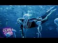 Diving Through Deadly Jellyfish | The Shallows | Clips & Chill