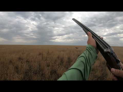 The Results of Solid Training