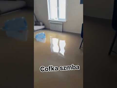 cofka szamba