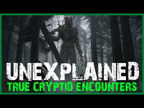 28 UNEXPLAINED SCARY CRYPTID ENCOUNTER HORROR STORIES (COMPILATION)