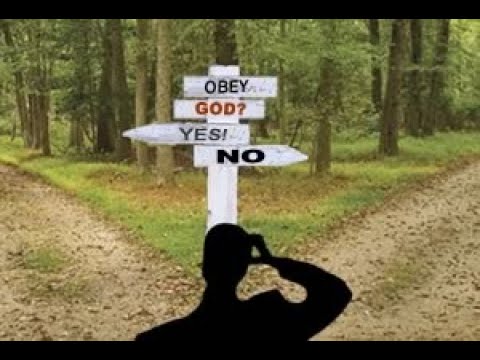 Daniel Brânzei: Chemarea (8) - Decizii personale într-un univers moral