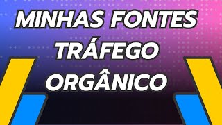 FONTES DE TRÁFEGO ORGÂNICO PARA BLOG || EU USO
