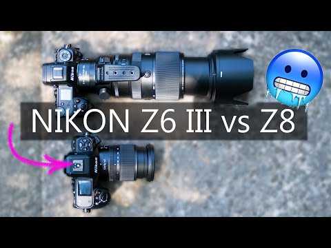 NIKON Z6 III vs NIKON Z8 📸 VERNICHTET auf der Autofokus-Teststrecke?