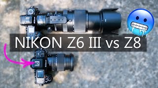 Video thumbnail for NIKON Z6 III vs NIKON Z8 📸 VERNICHTET auf der Autofokus-Teststrecke? by AmazingNature Alpha