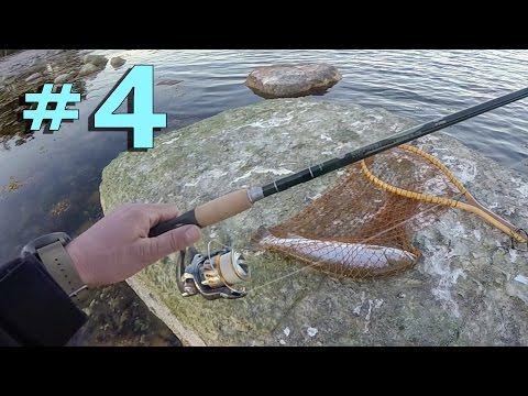 Näin kalastat meritaimenta rannalta | Gotlanti | Osa 4