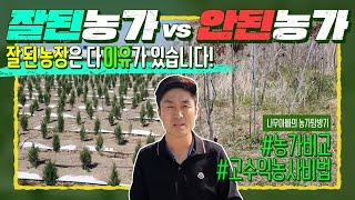 잘 된 나무농장에는 이유가 있다?! 신지식 농업인의 고수익 창출 나무농사 관리 비법(잘 된 농가 vs 잘 안…