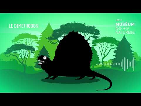 Le Dimétrodon hisse la voile ! Bestioles fossiles