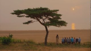 《디어 마이 프렌즈 OST》 린 (LYN) - 바람에 머문다 (Want To Be Free)