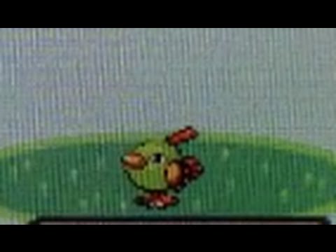 LIVE!!! FINALLY SHINY NATU AFTER 209,779 RE's TOTAL AND 25 PHASES!!! (12,030)