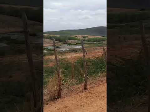 MUNICÍPIO DE ACOPIARA CEARÁ FICANDO TUDO VERDE