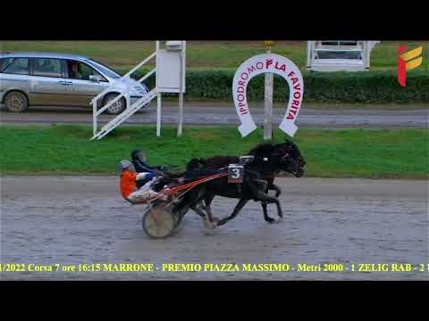 VII corsa del 26 novembre 2022 - Cat. F/E - Metri 2000/2020 - Gentlemen