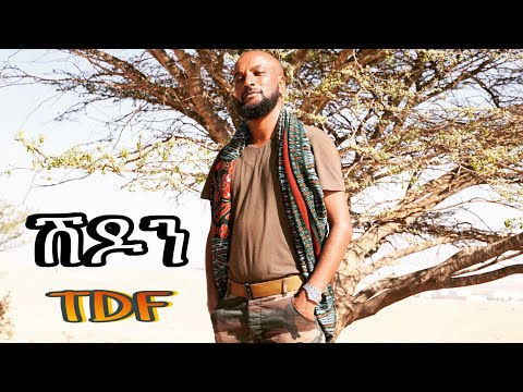 Raza Raya Shdon New Tigrgna Music 2021