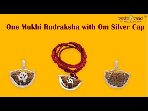 One Mukhi Kaju Dana / Half Moon Shape Rudraksha with Om Silver Basket video