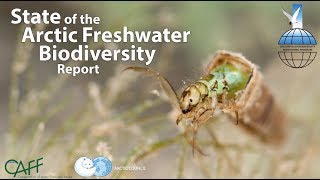 Film: The State of the Arctic Freshwater Biodiversity Report