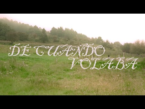 De cuando volaba - Delicada (Full mini album visualizer)