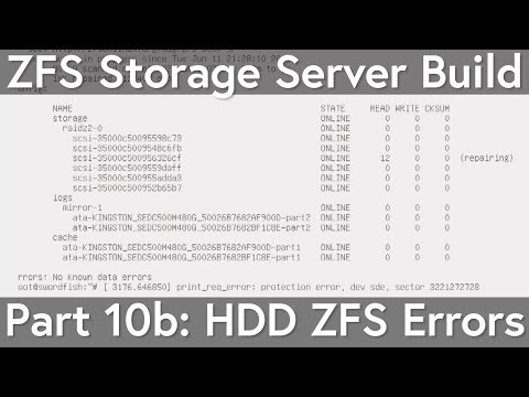 ZFS Storage Server: Seagate 8TB SAS HDD with ZFS Issues + Fix, "Formatted with type 2 protection"