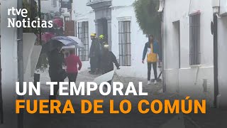 Thumbnail del capítulo