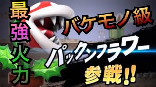【大乱闘スマッシュブラザーズSP】パックンフラワー最強火力