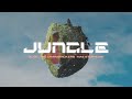 Alok The Chainsmokers Mae Stephens Jungle Official Lyric Video