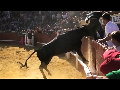 Cuéllar 2023 Primer Día