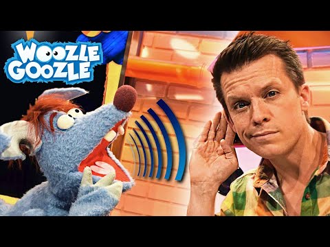 Wie funktioniert unser Gehör? l WOOZLE GOOZLE