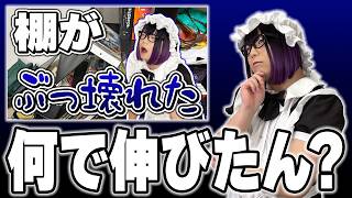棚を作る配信がバズって困惑するメイド男子【切り抜き】