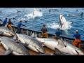 31 Epic Fishing Moments You've Probably Never Seen — All Caught on Camera DEFAULT Thumbnail