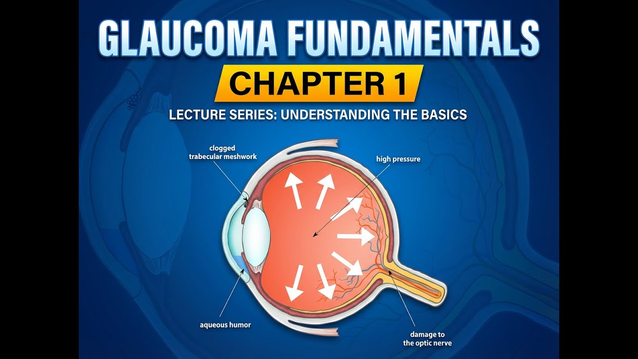 Glaucoma Chapter 1 BCSC
