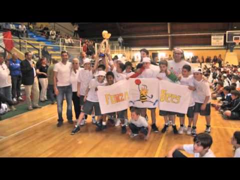 Bees Pesaro anno 2000