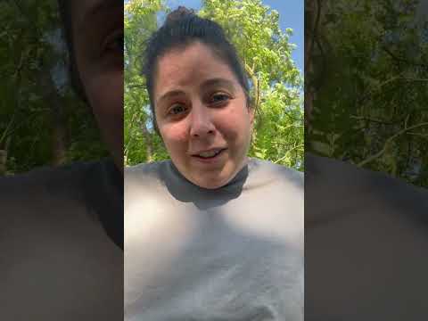 Buď součástí animovaného filmu Sluneční Pes a Bod Nula