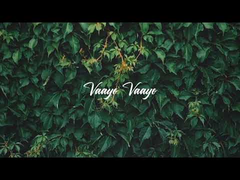 Vaayo Vaayo | malayalam song lyrics | PEACE BEATS